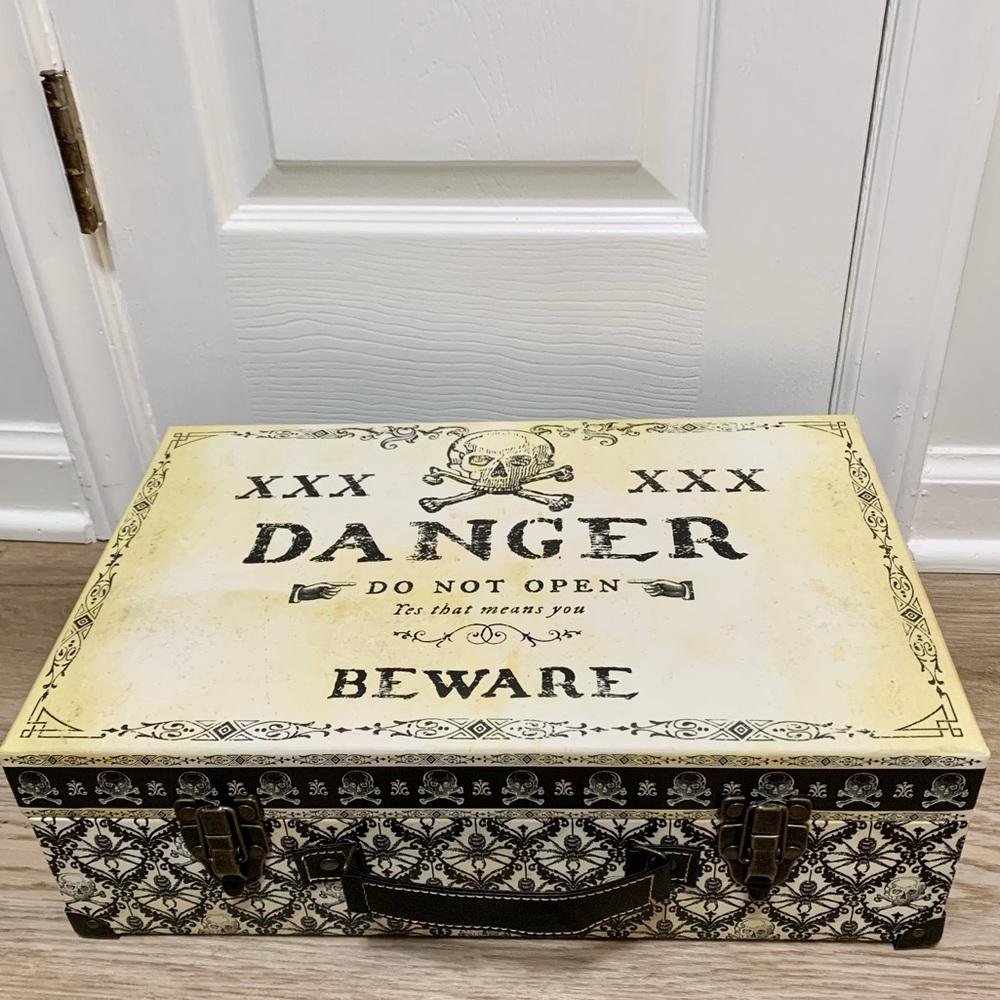 Punch Studio Skull Spider Cat Travel Storage Box - Large - 17”x10-1/2”x5 NEW
